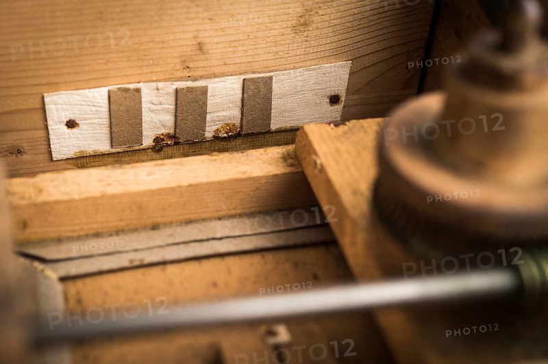 Barrel organ
