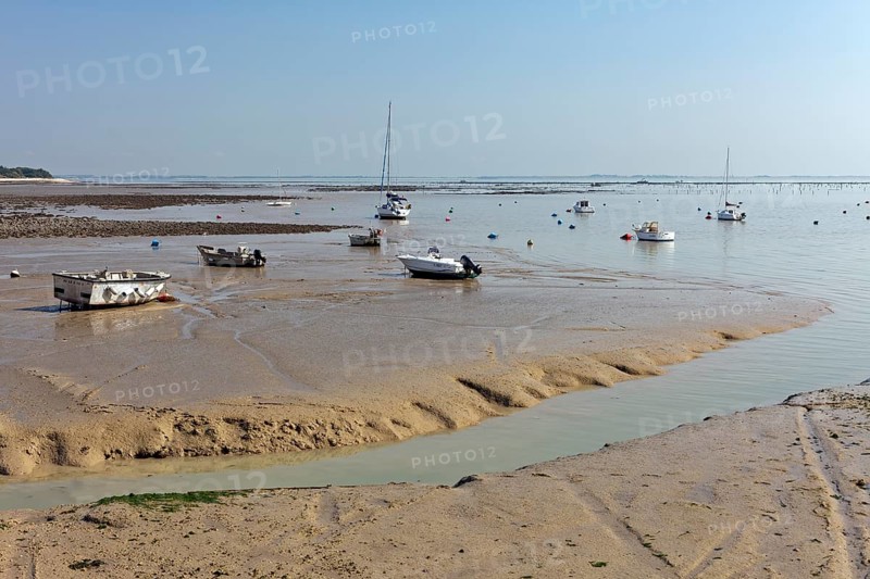 Boats at low tide