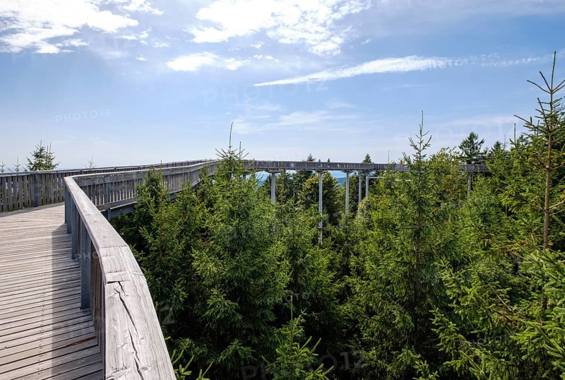 Waldwipfelweg