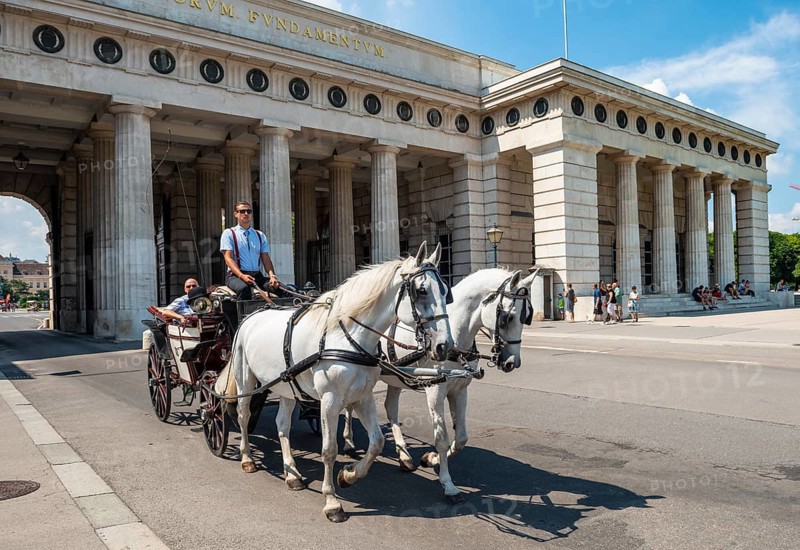 Horse-drawn carriage