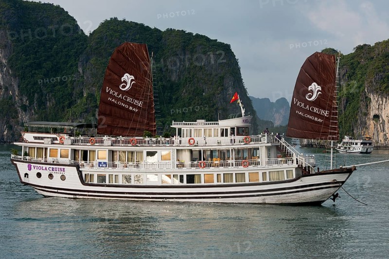 Tourist boat