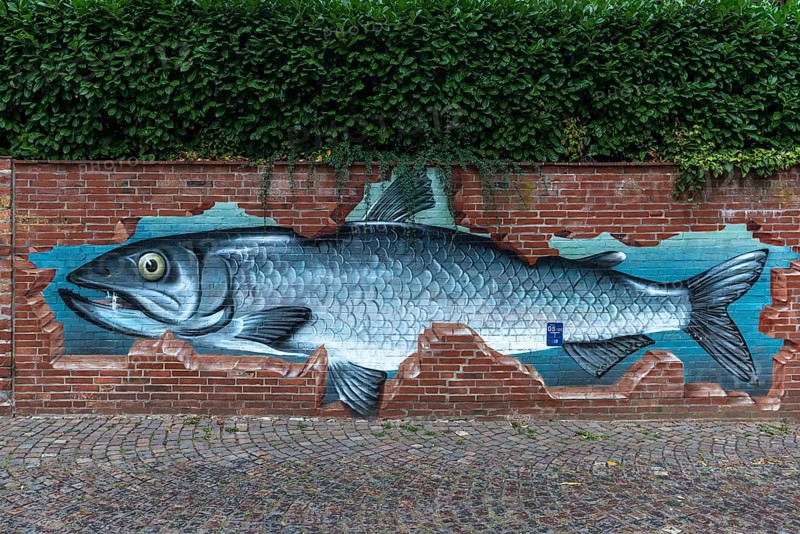Fish as graffiti on a brick wall