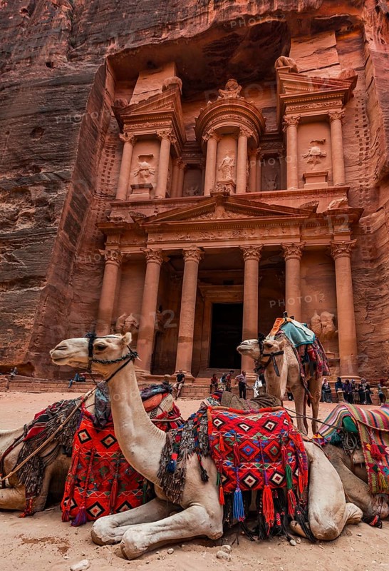 Dromedaries in front of the Pharaoh's treasure house carved out of rock