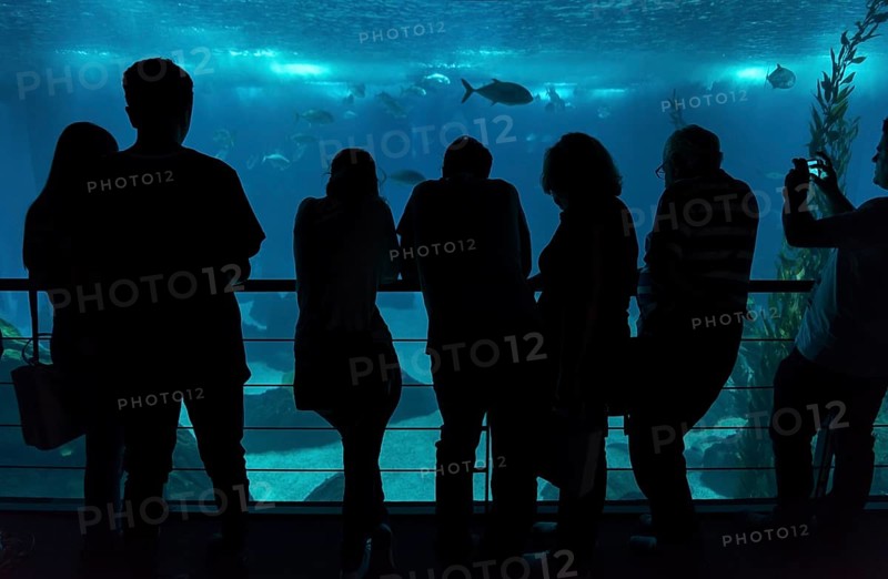 People inside Lisbon Oceanarium