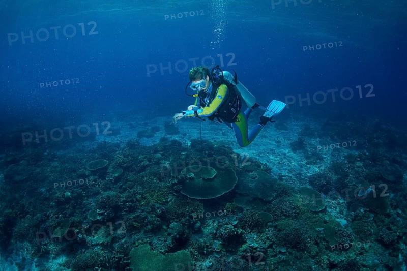 Diver at a coral reef checking his depth gauge