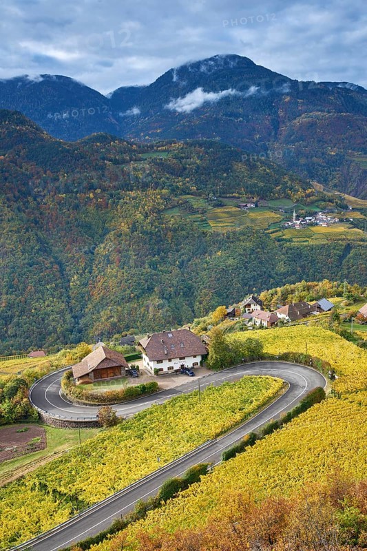Serpentine with vineyards in autumn at Ritten