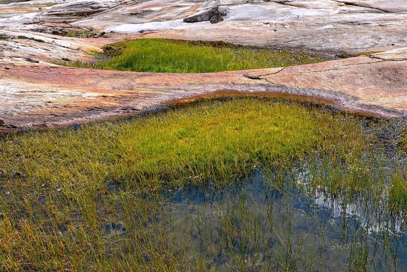Glacial fluting of Schlatenkees with grassy water puddles