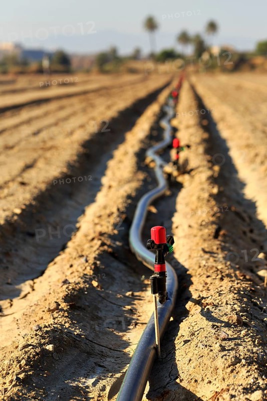 Sprinkler on an irrigation pipe