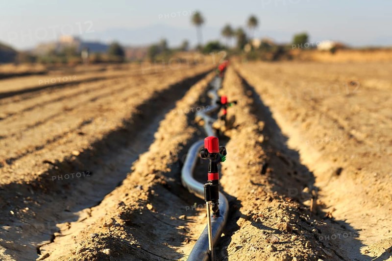 Sprinkler on an irrigation pipe