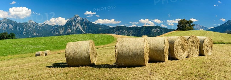 Bales on mowed meadow