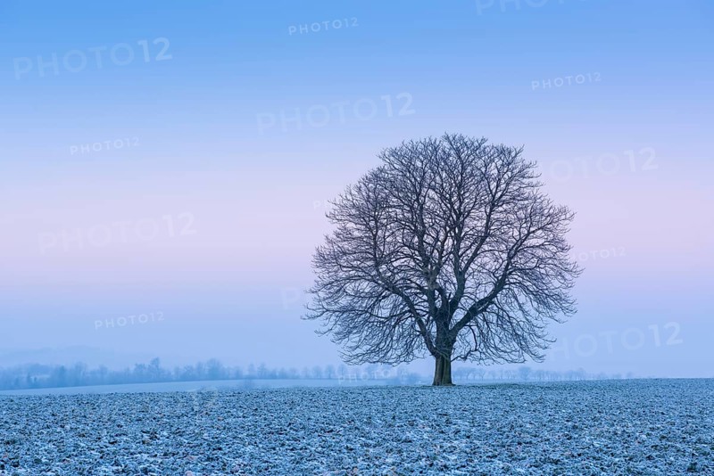 Cold winter morning