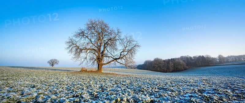 Cultural landscape in winter