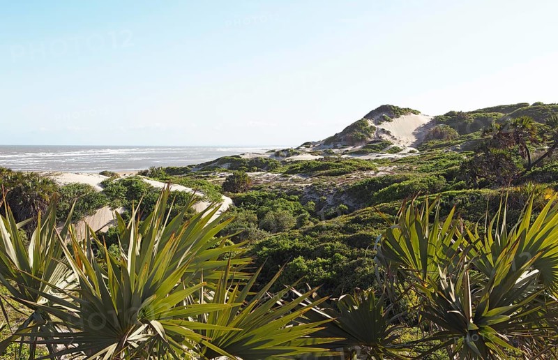 Dune landscape