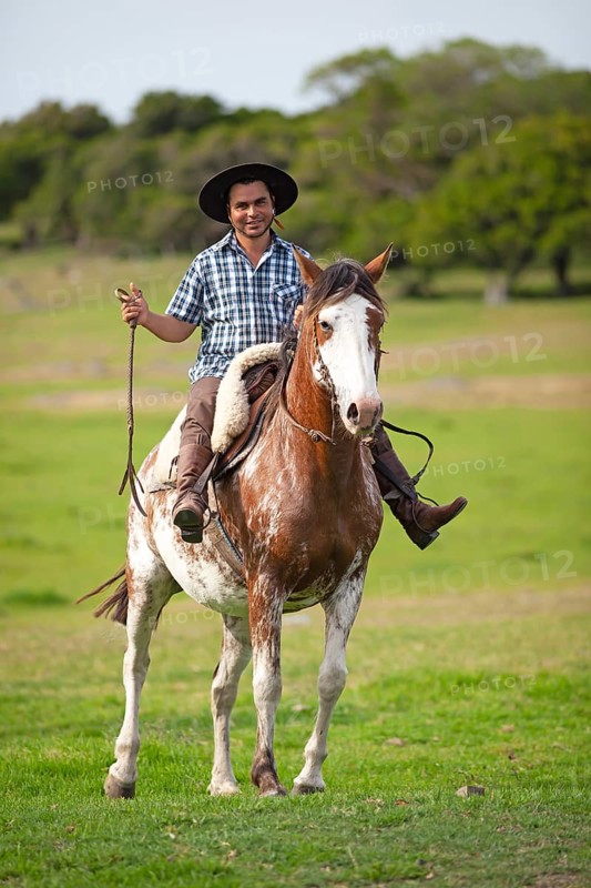 Gaucho on a Criollo horse
