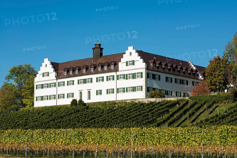 Hersberg Castle with vineyard