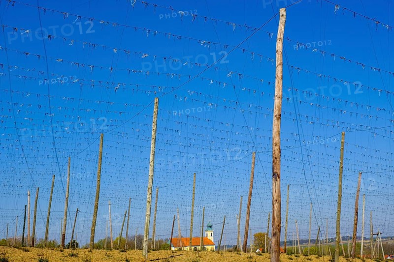 Hop fields