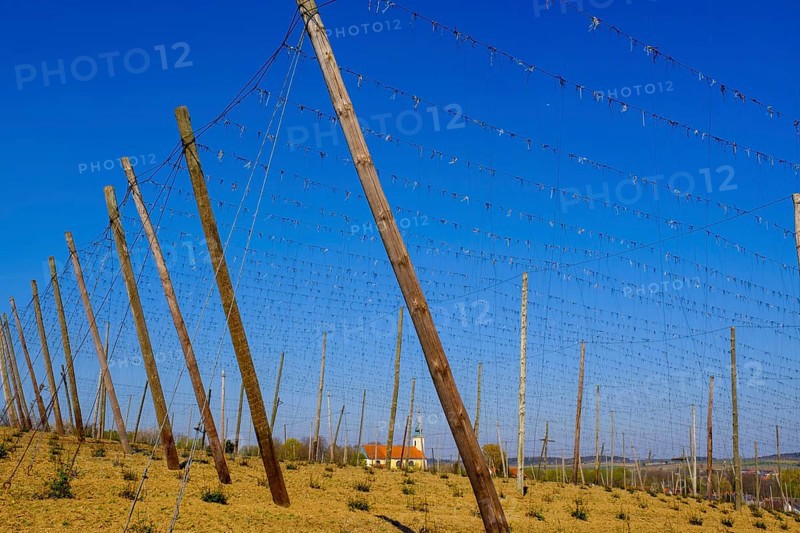 Hop fields