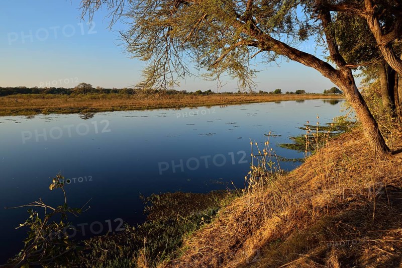 Kwando river