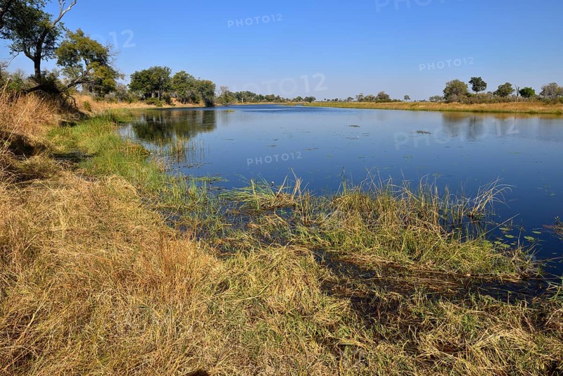 Kwando river