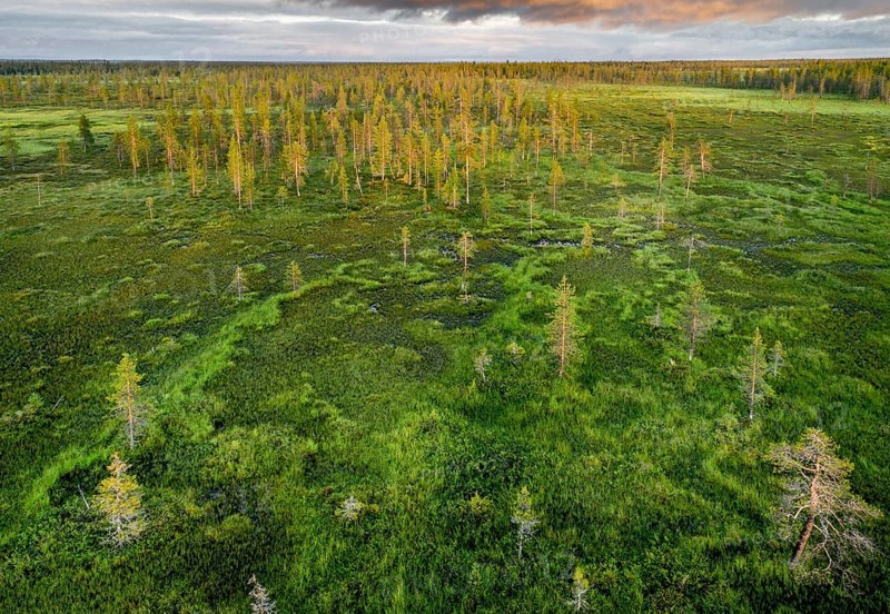 Drone view