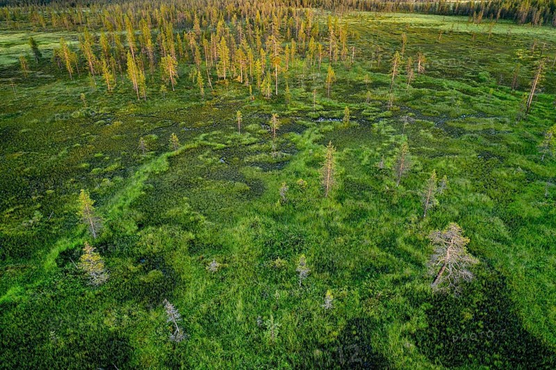 Drone view