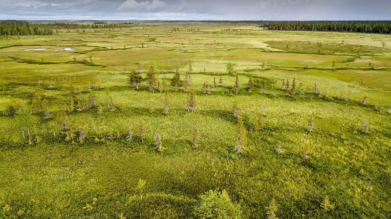 Drone view