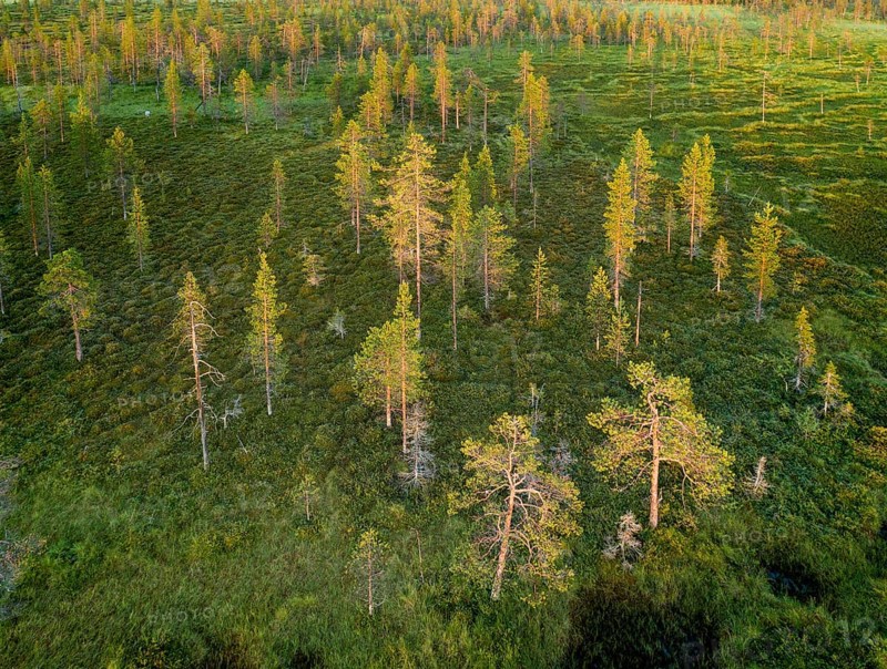 Drone view