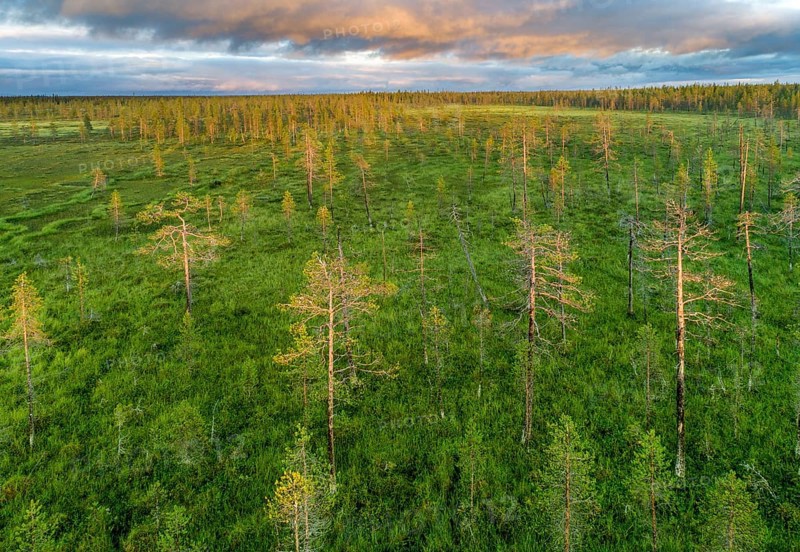 Drone view