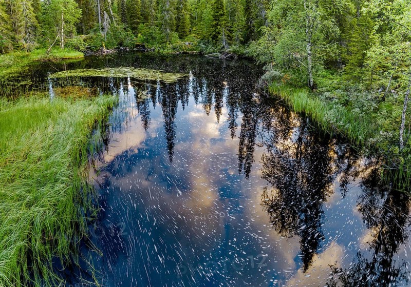 Drone view