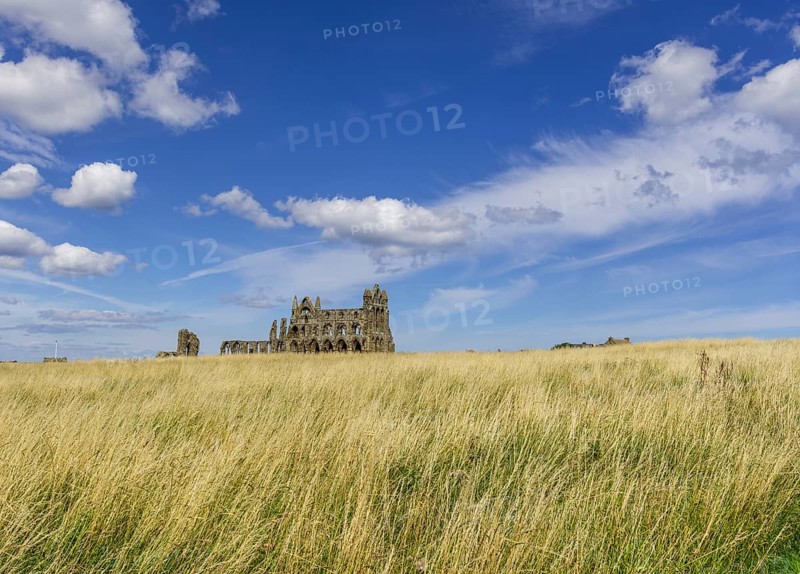 Ruin of the Abbey of Whitby