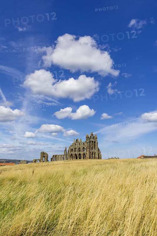 Ruin of the Abbey of Whitby