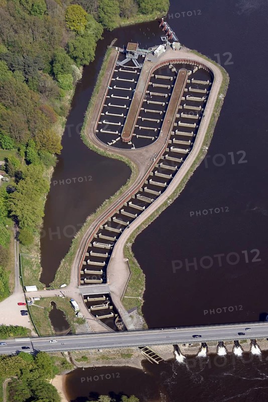 Fish ladder