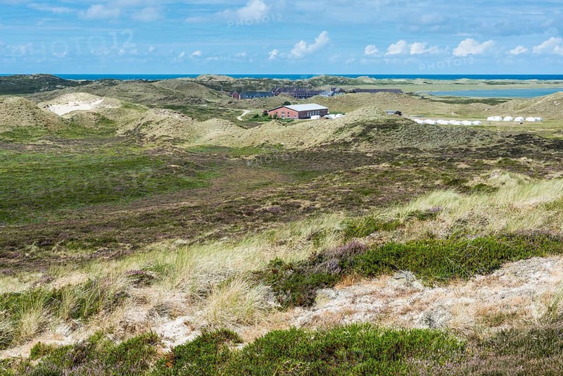 Dune landscape