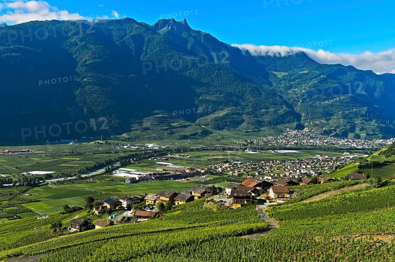 Lower Rhone valley with vineyards