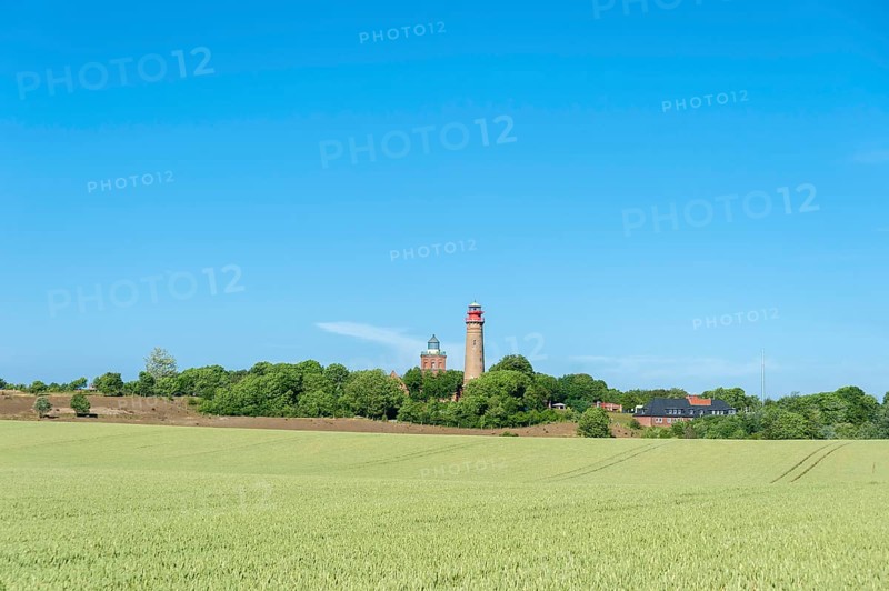 Grain field in front of Schinkel Tower and New Lighthouse