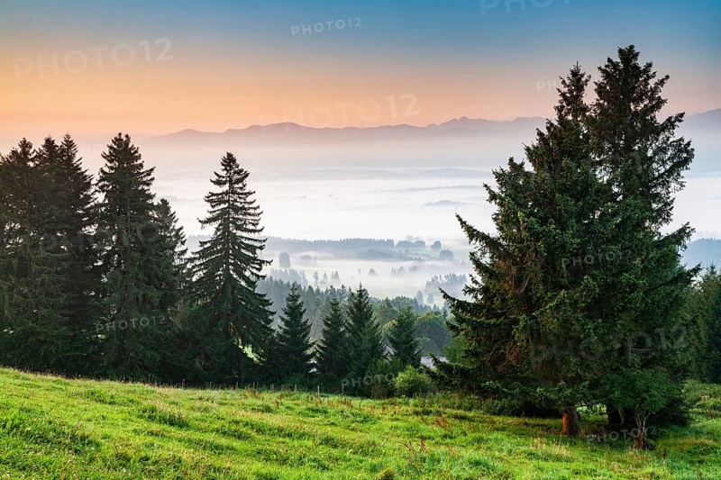 View from the Auerberg near Bernbeuren