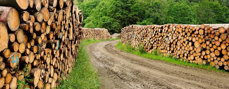 Large wood stacks on forest road