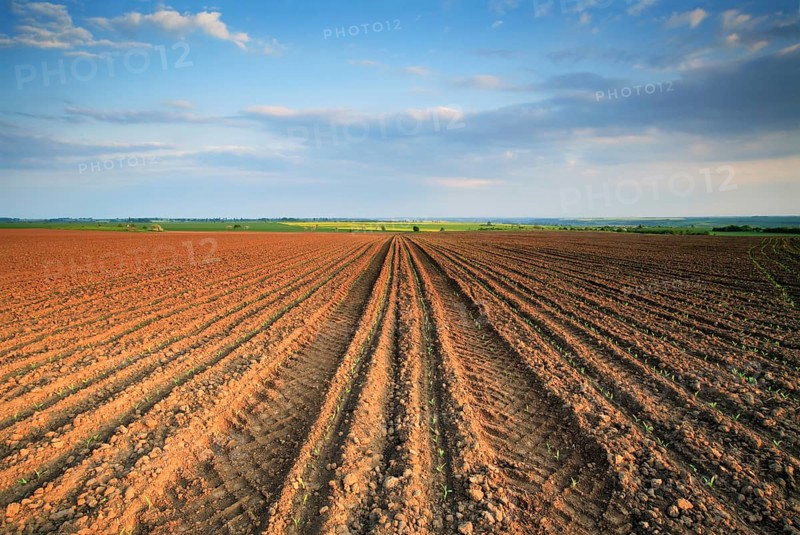 Furrows