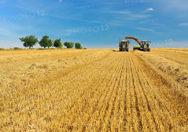 Bale press unloads straw bales onto tractor