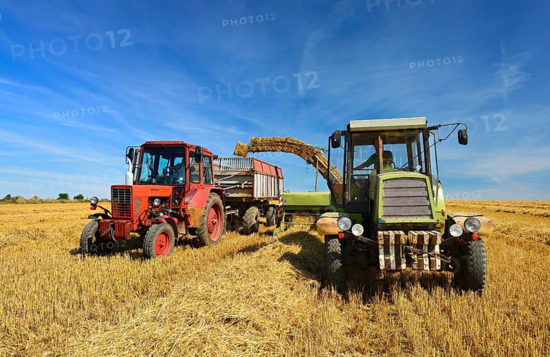Bale press unloads straw bales on tractor trailer