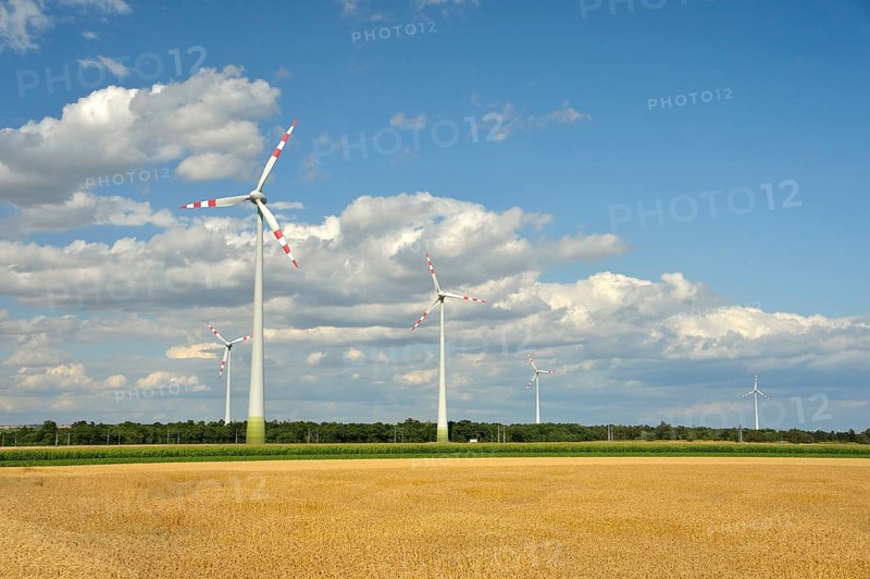 Windmills in between fields