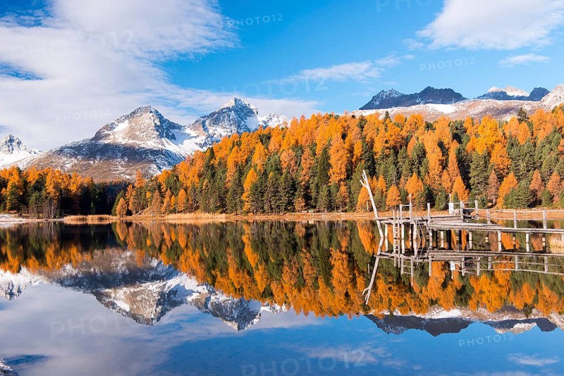 Autumn mood with yellow larches