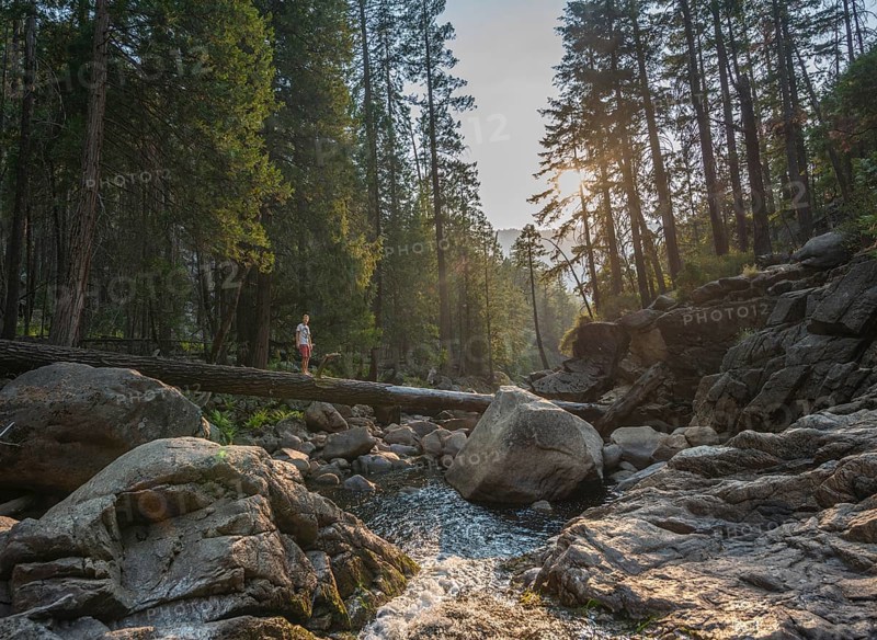 Young man crossing a tree trunk over the Merced River
