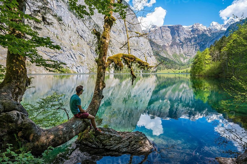 Young man sitting on tree above water