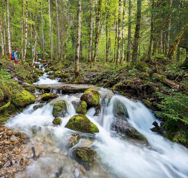 Young man by a creek