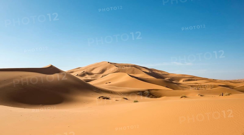 Sand dunes in the desert