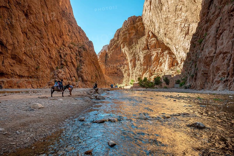 Gorges Toudra or Todgha Gorge