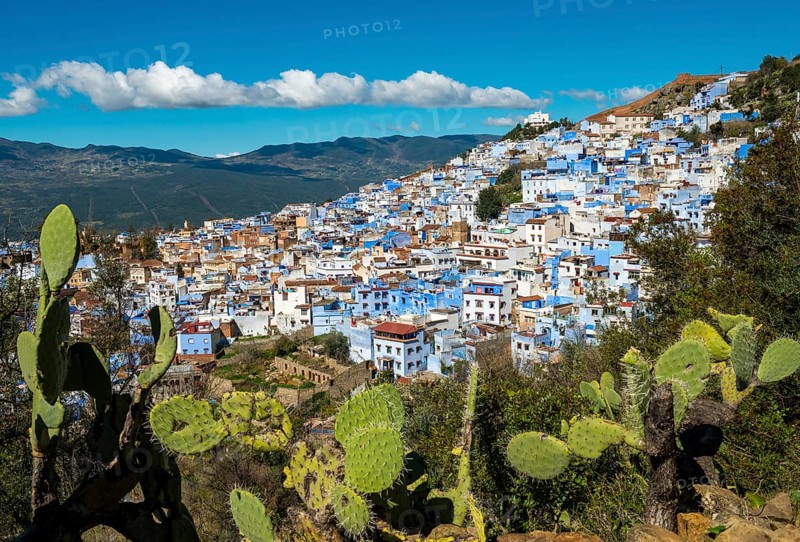 View on blue houses of the medina of Chefchaouen