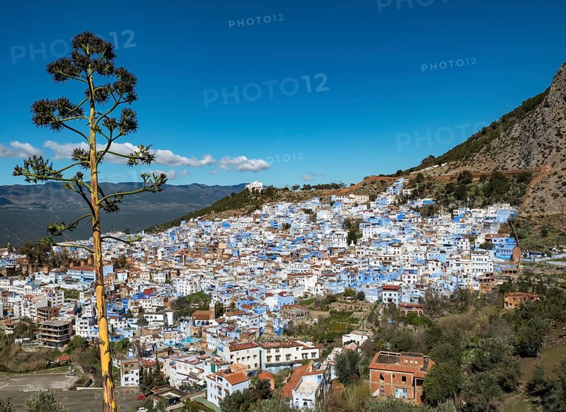 View on blue houses of the medina of Chefchaouen