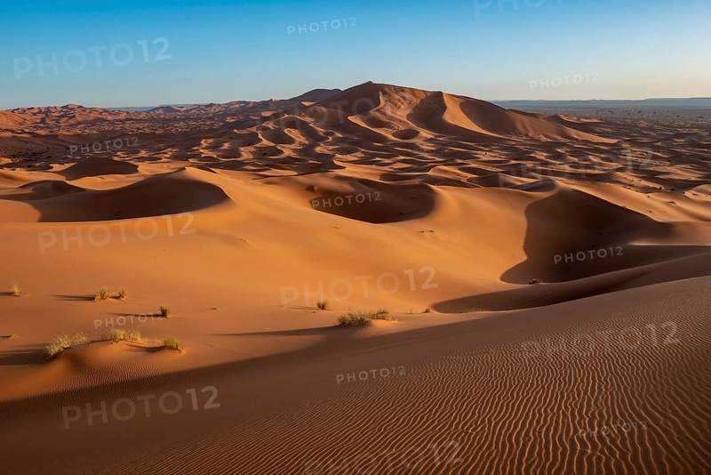 Sand dunes in the desert
